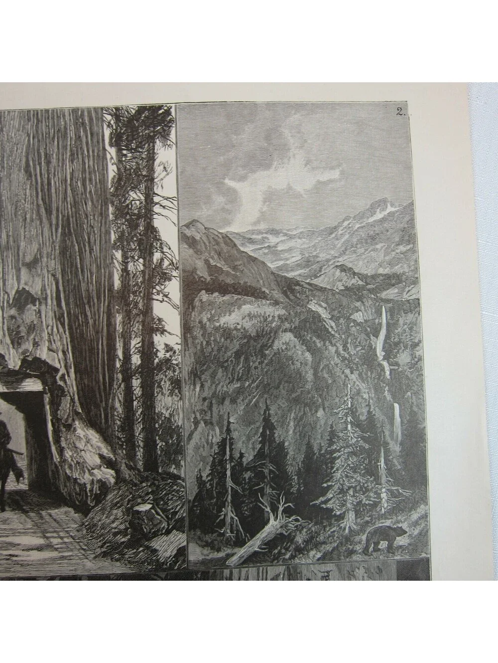 Antique 1888 Print Californian Sketches Mammoth Trees Rocks and Mountain Scenery